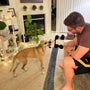 Customer review pooch puppets dog toy