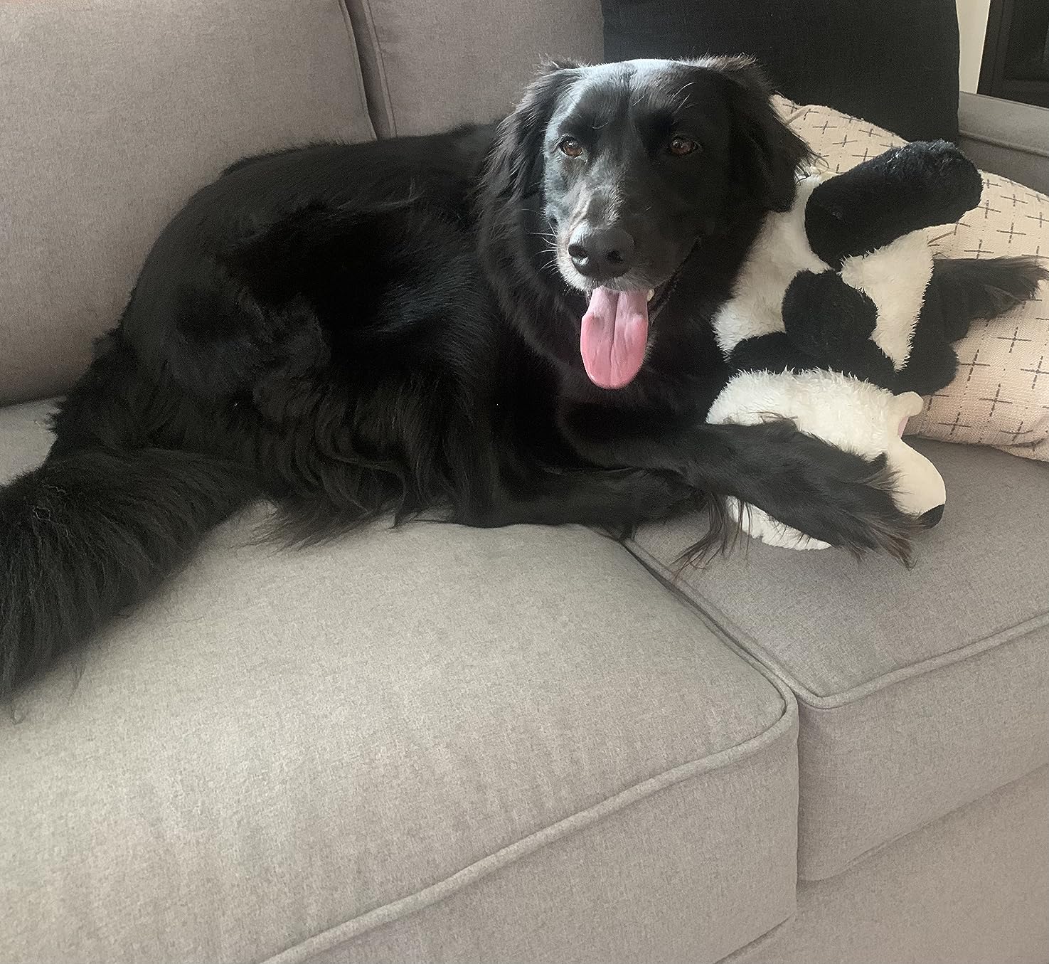 product image dog playing with pooch puppets dog toy